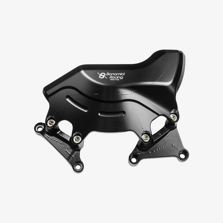 Engine protection (right side) - Ducati Streetfighter V4 - V4S